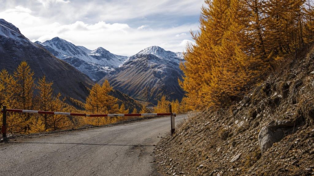 Pendant quinze jours en octobre les mélèzes de cette vallée des Hautes-Alpes virent à lʼor puis la route ferme à la première neige : la dernière fenêtre avant le printemps